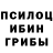 Галлюциногенные грибы Psilocybe Jeriah P.