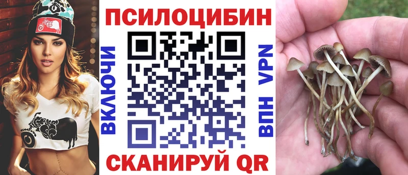 Галлюциногенные грибы ЛСД  Сокол 